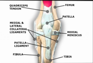 corrective exercise knee