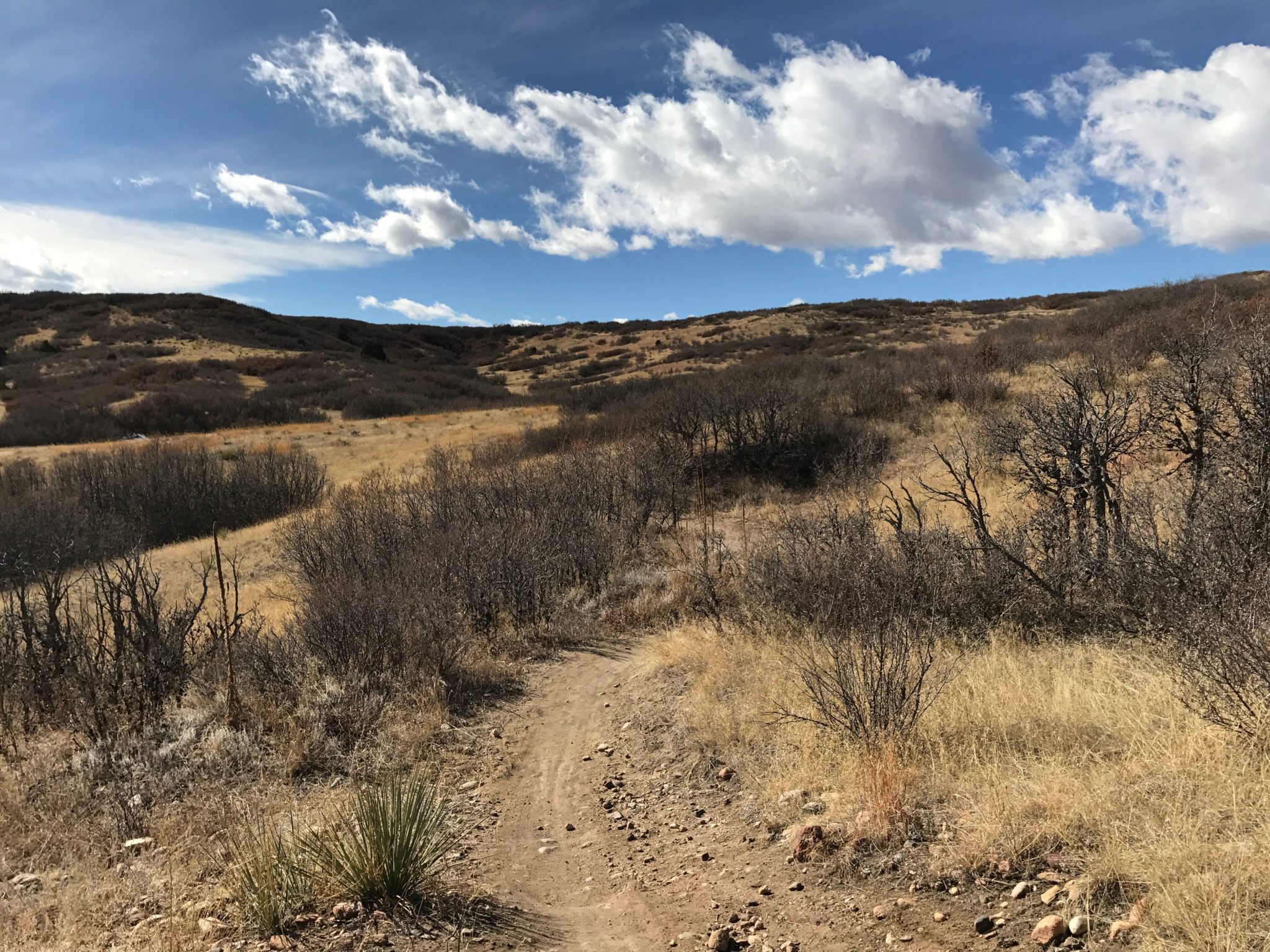 building single track trails